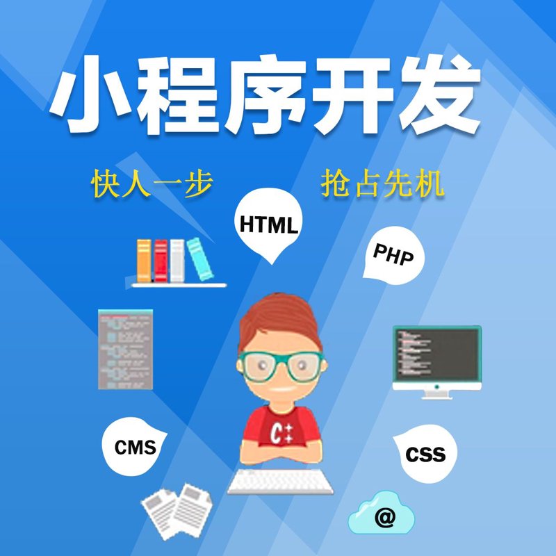 小程序开发在现代商业中的独特价值